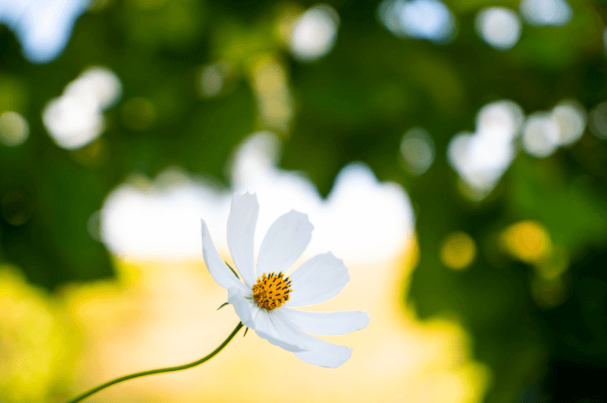 Small Business Owners: How To Be More Resilient